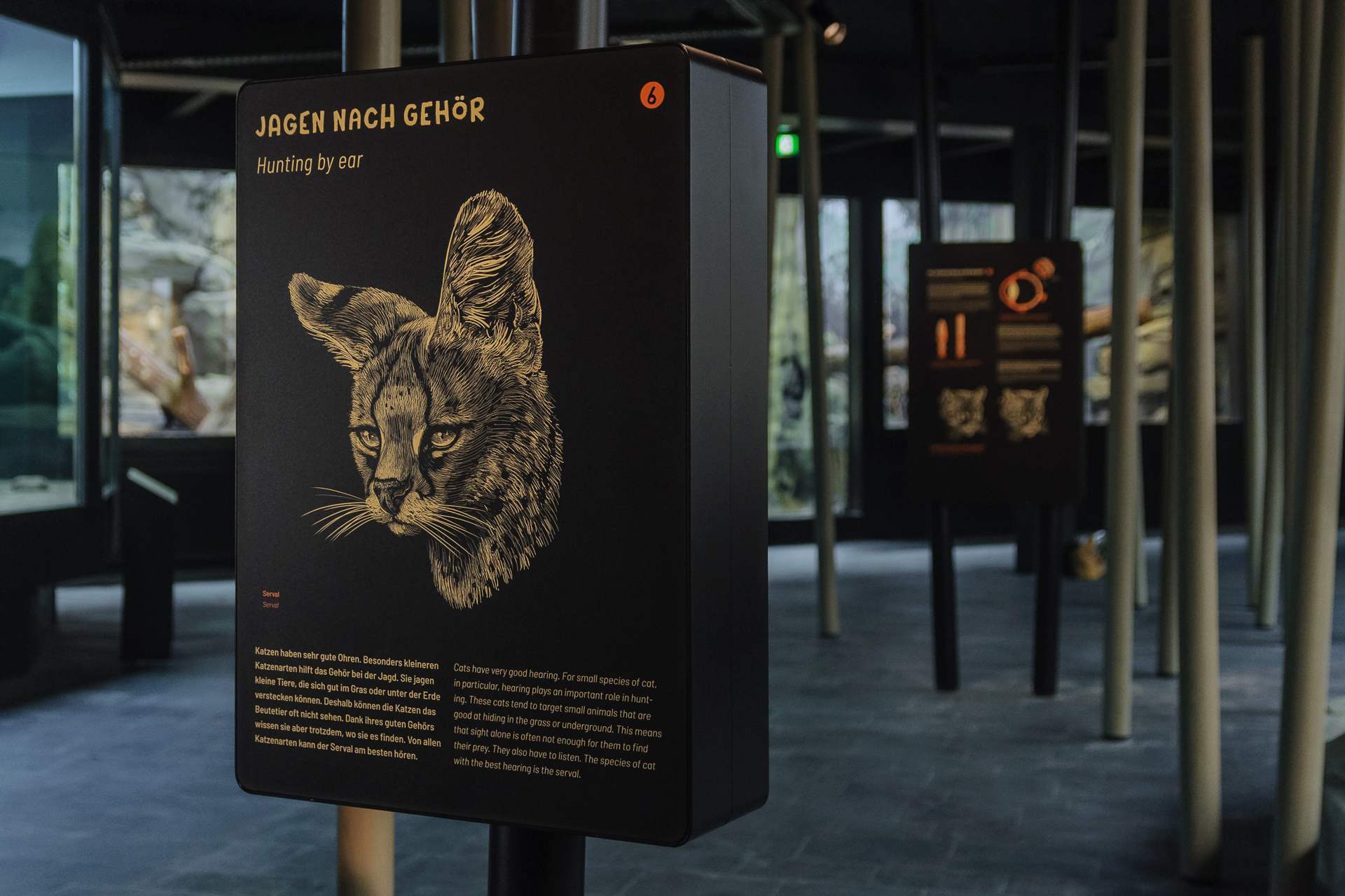 Das Reich der Jäger im Zoologischen Garten Berlin eröffnet