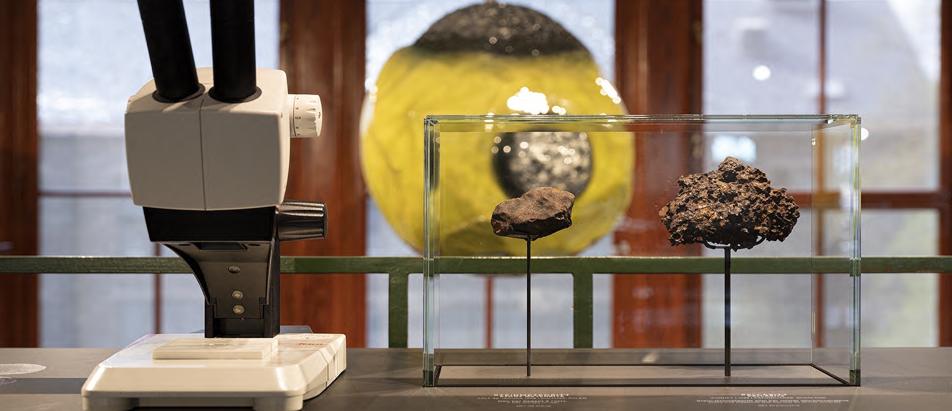 Von Krallenhaltern (von molitor) fixierte Gesteinsproben in einer Vitrine im Naturhistorischen Museum in Oslo